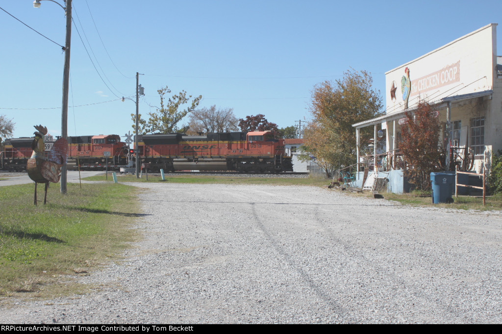 Nobody here but us chickens